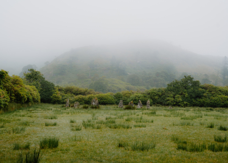 Mist-covered hillside above a grassy field lined with trees