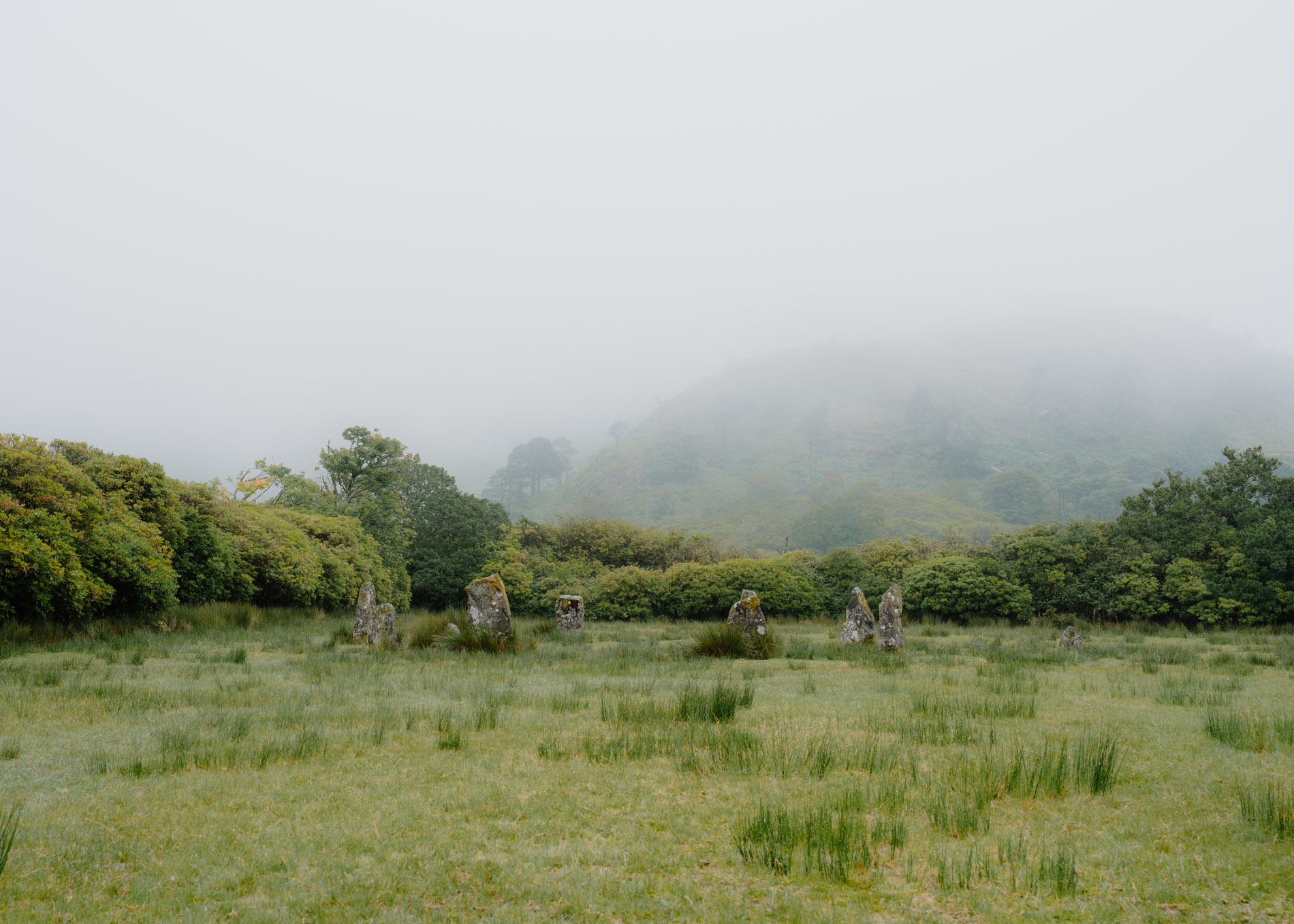 https://hiddenscotland-gallery.ams3.cdn.digitaloceanspaces.com/wp/2025/07/DSC05107-large-1752352833.jpg