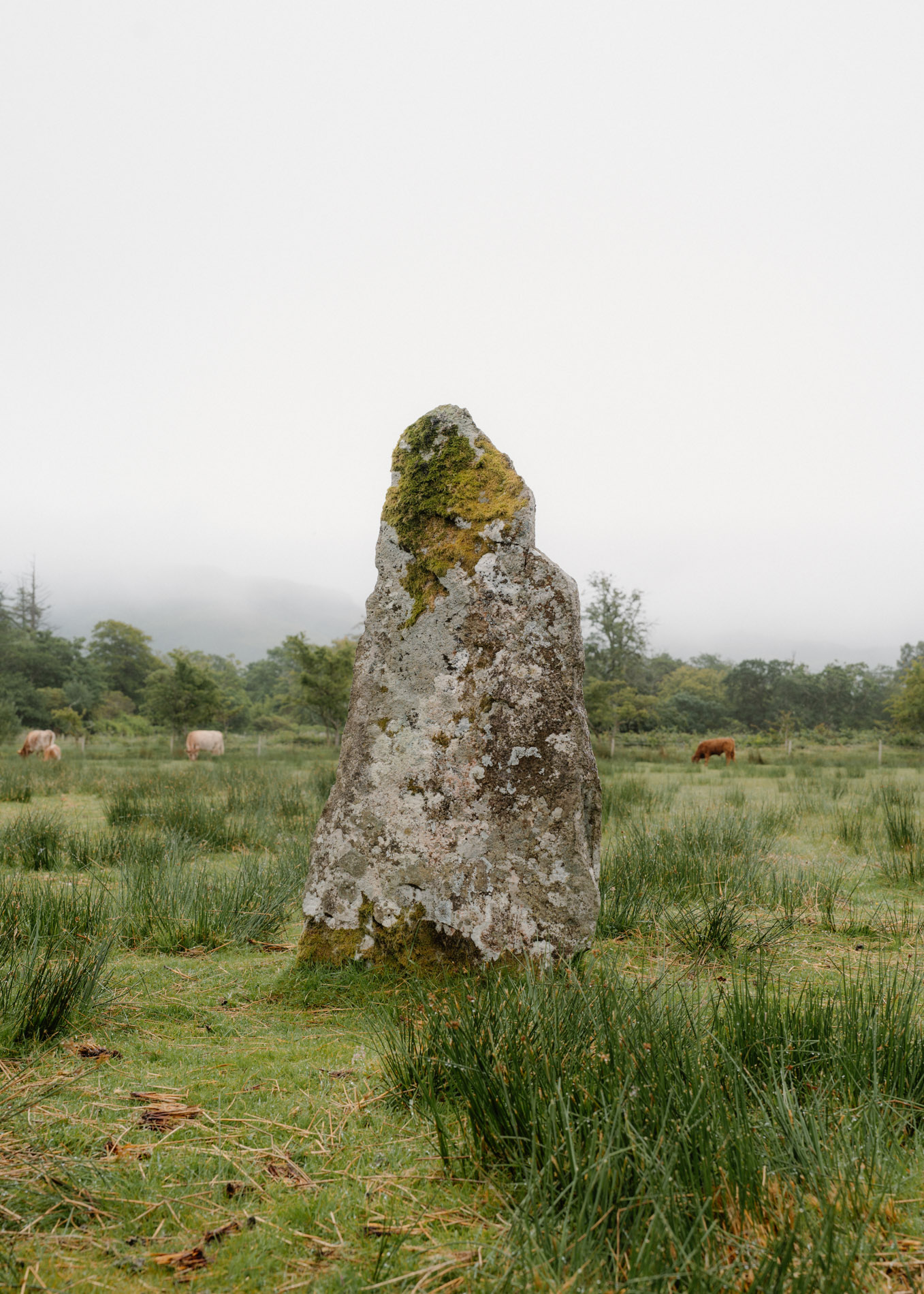 Lochbuie Stone Circle