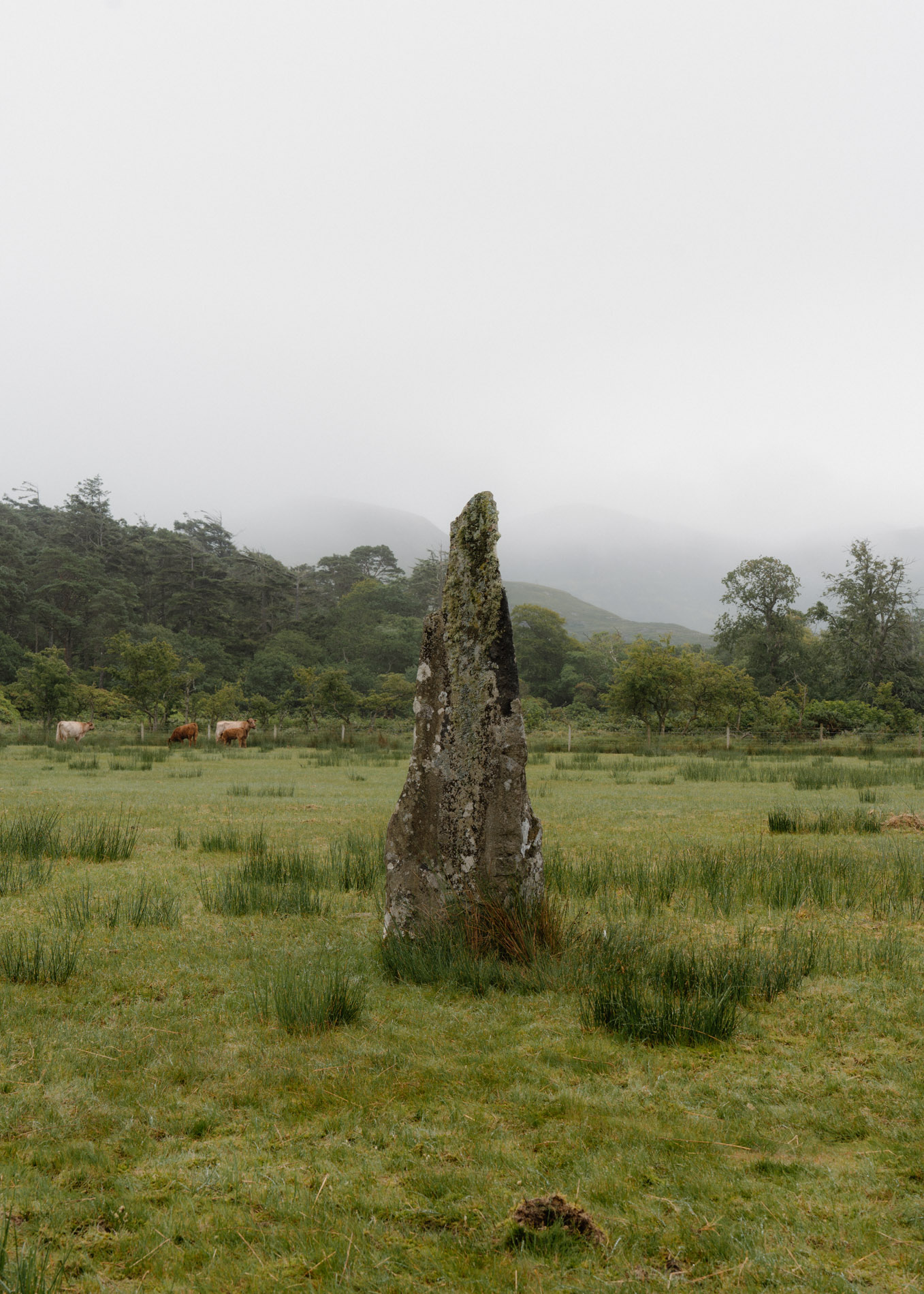 Visiting the Lochbuie Stone Circle on the Isle of Mull
