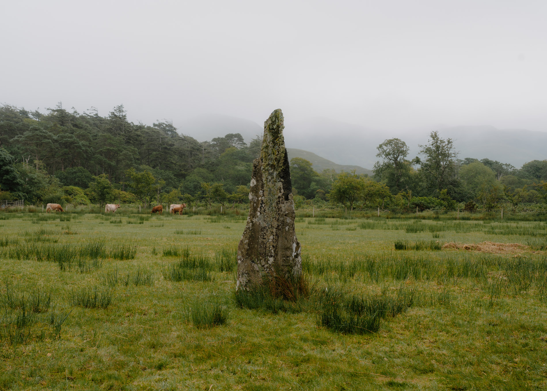 Lochbuie Stone Circle