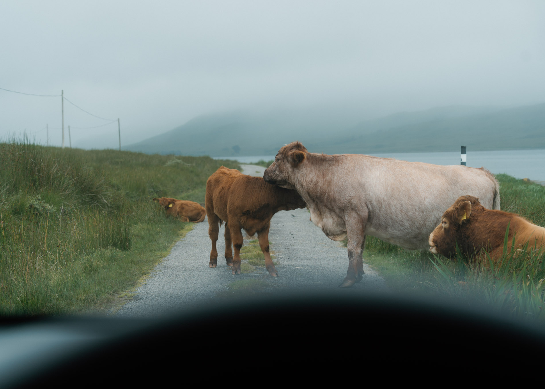 Visiting the Lochbuie Stone Circle on the Isle of Mull