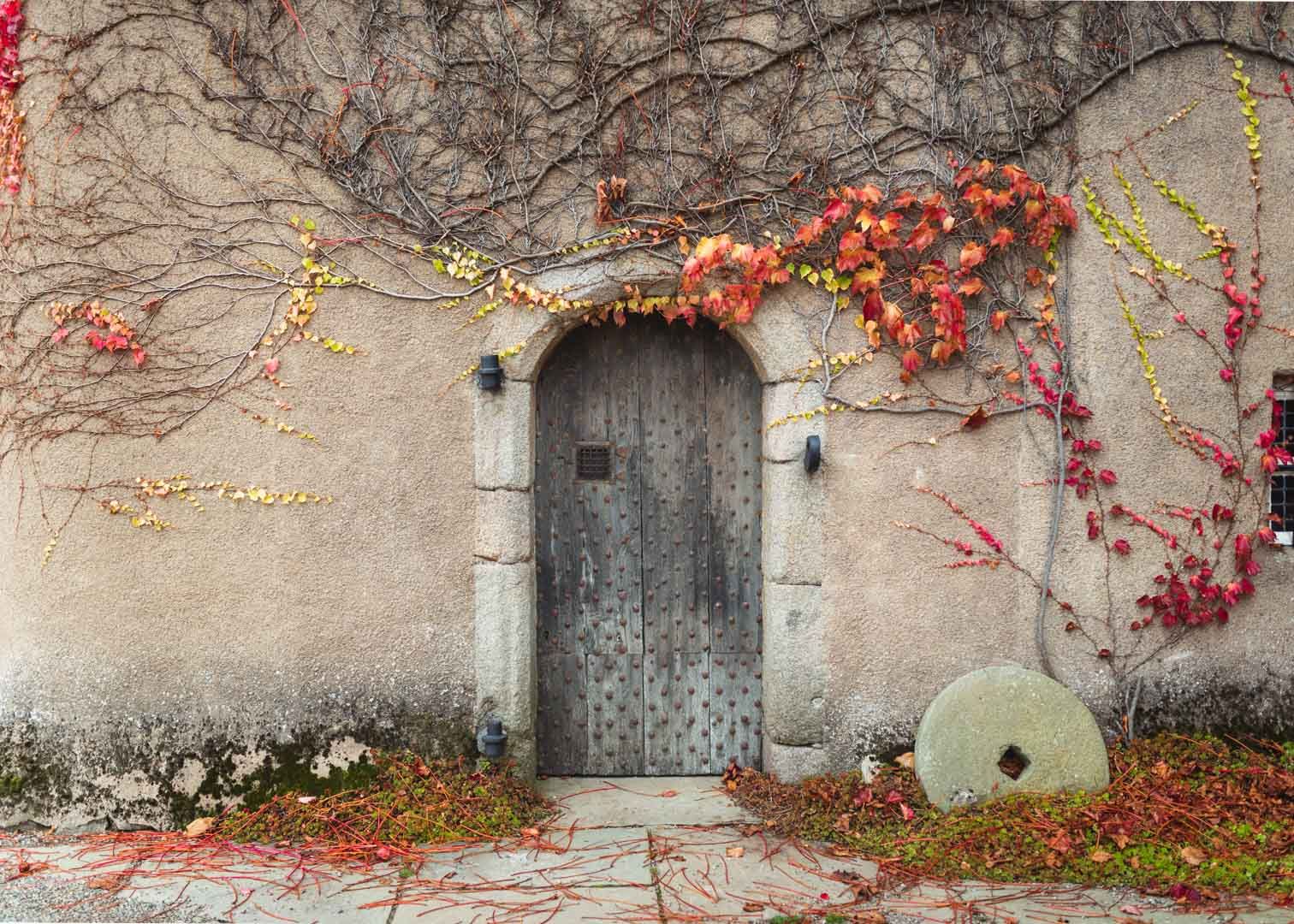 From Painted Ceilings to Walled Gardens: A Day at Crathes Castle
