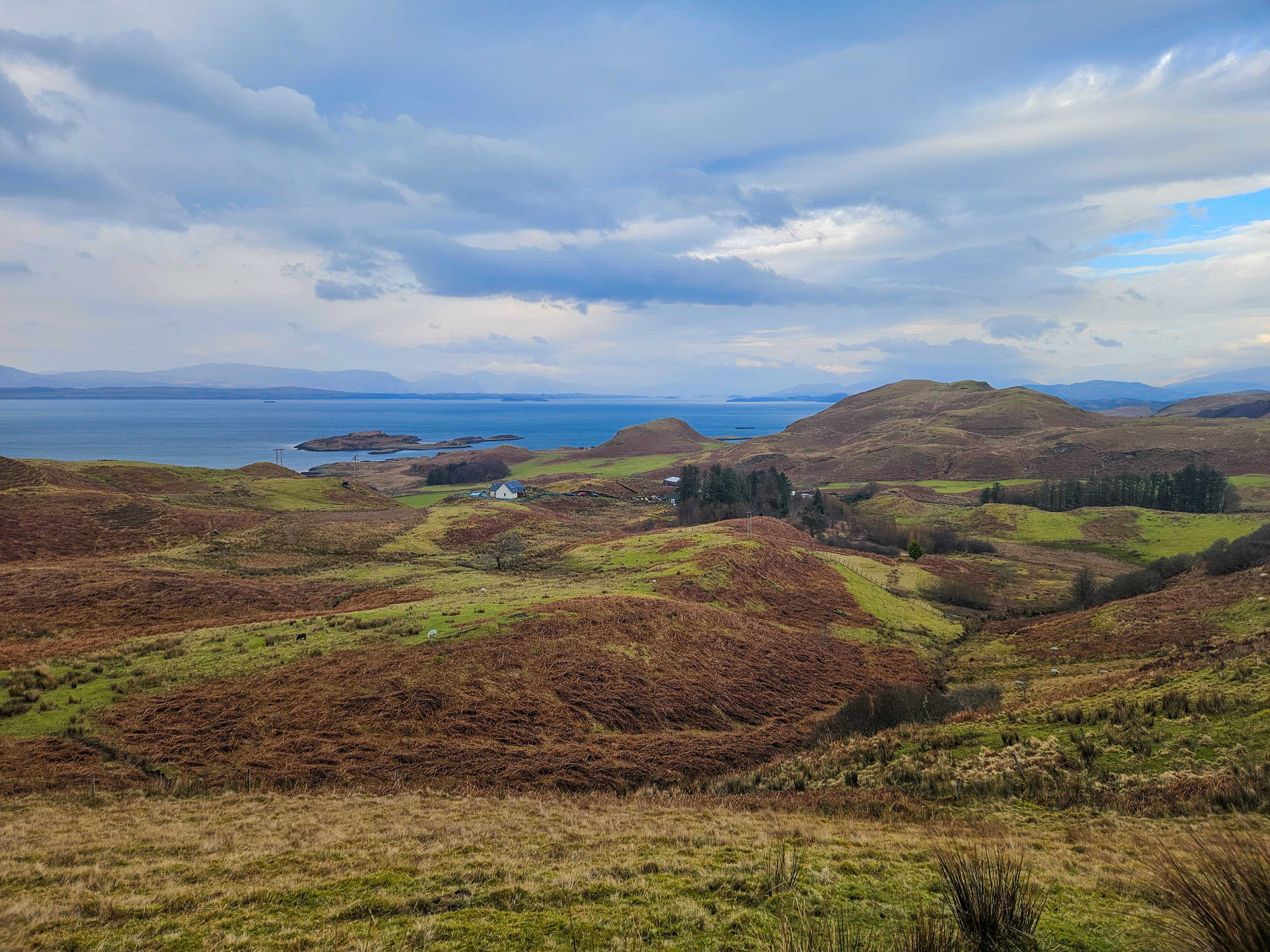 From Angus to Iona: A Busy Month on Both Coasts