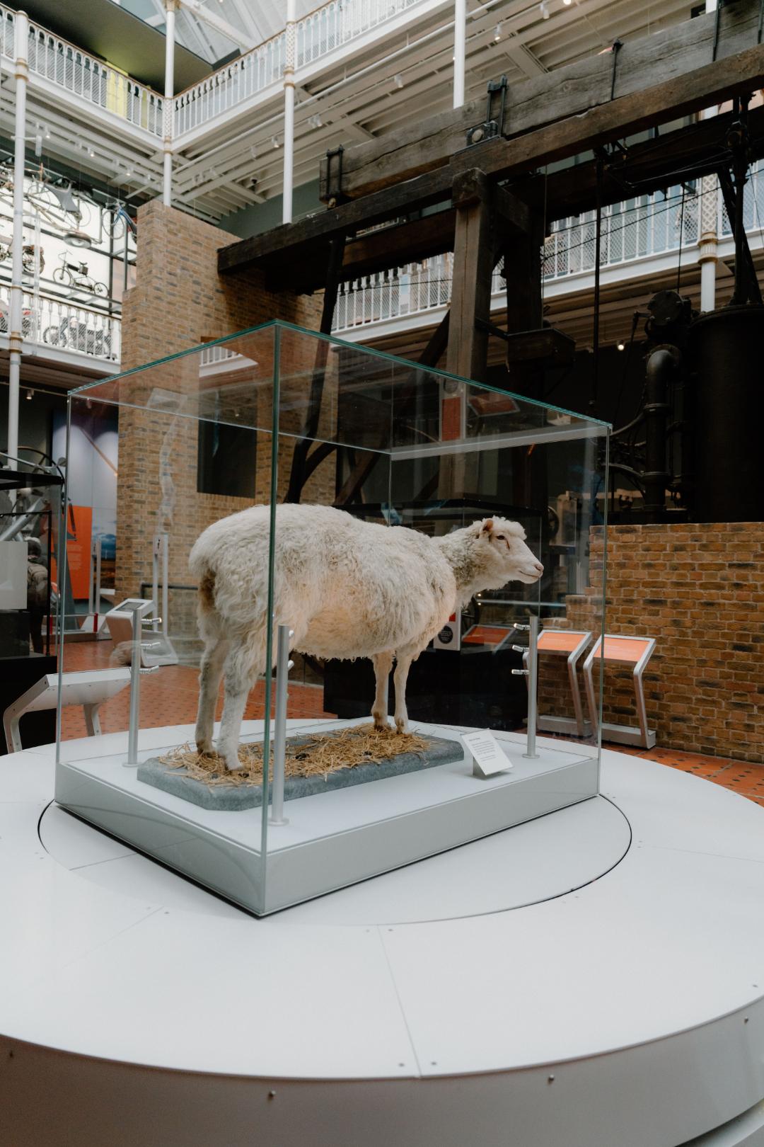 Unusual & Interesting Things in Edinburgh