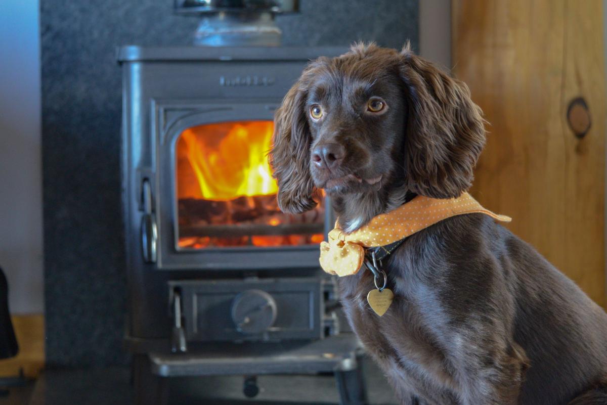 The Best Log Cabin Getaways in Scotland