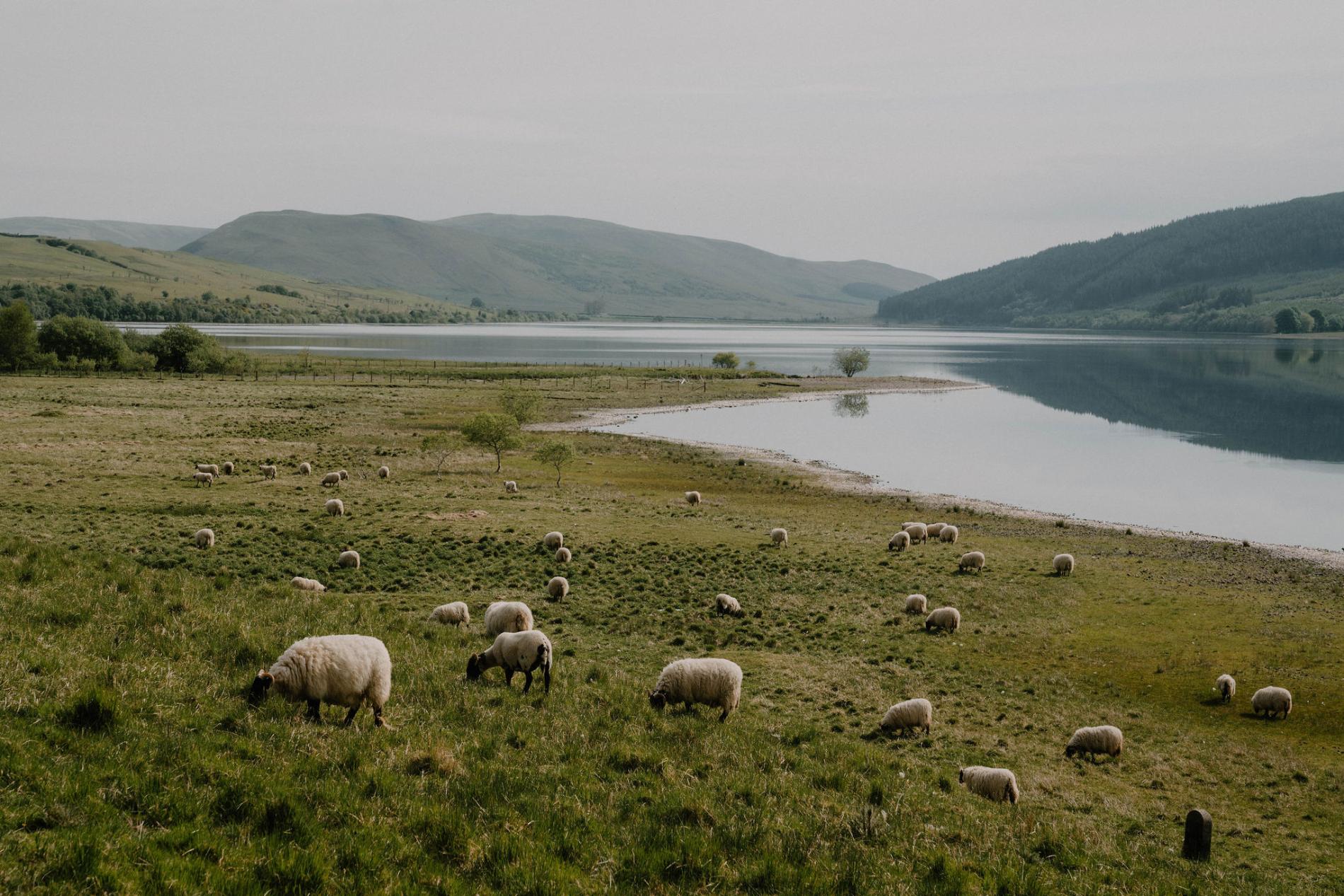 20 Must-Visit Places in the Scottish Borders