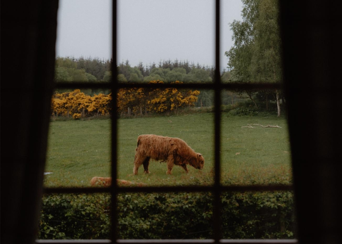 The Best Log Cabin Getaways in Scotland