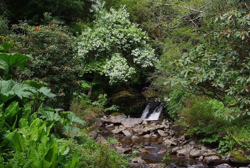 Crarae Garden