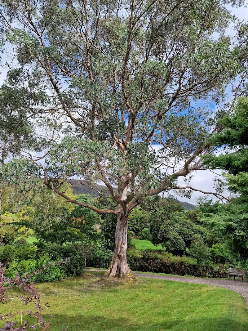 Crarae Garden