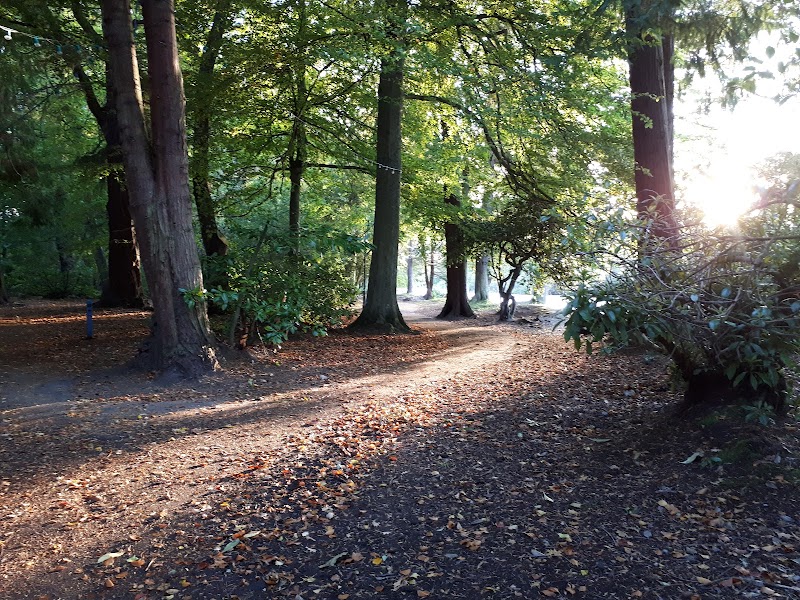 Ness Islands Walk