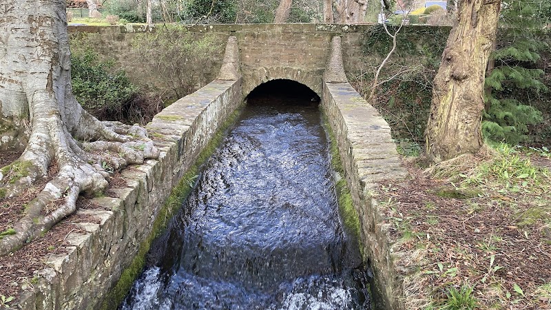 Ness Islands Walk