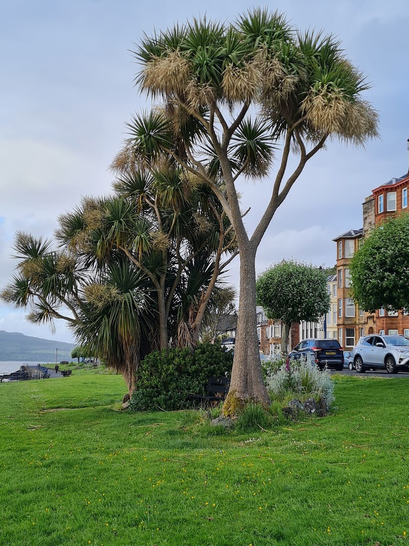Rothesay Town