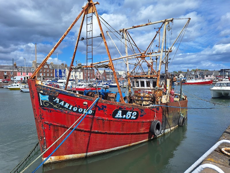 Arbroath Harbour