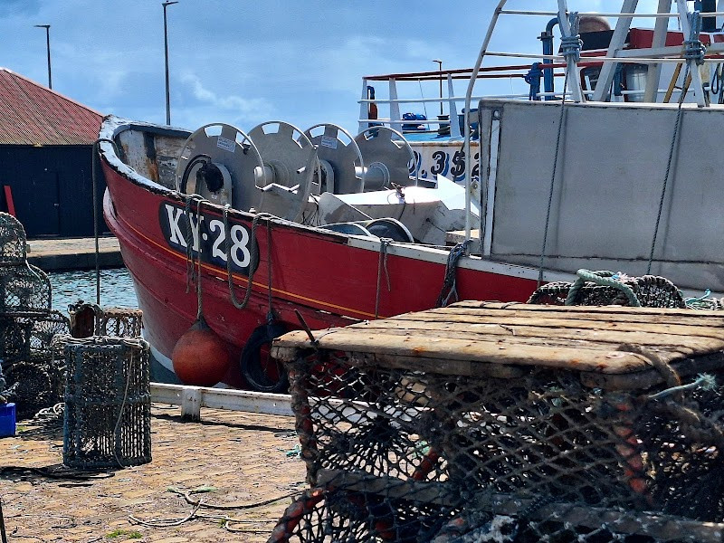 Arbroath Harbour
