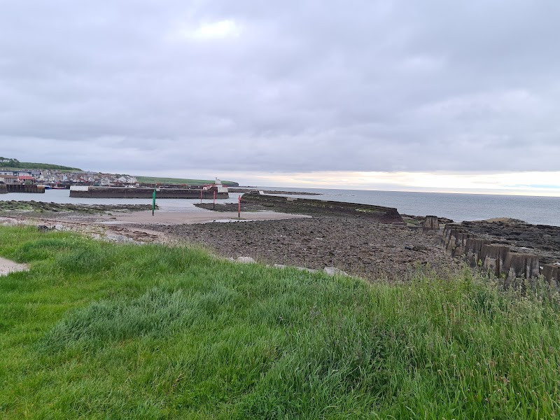 Arbroath Harbour