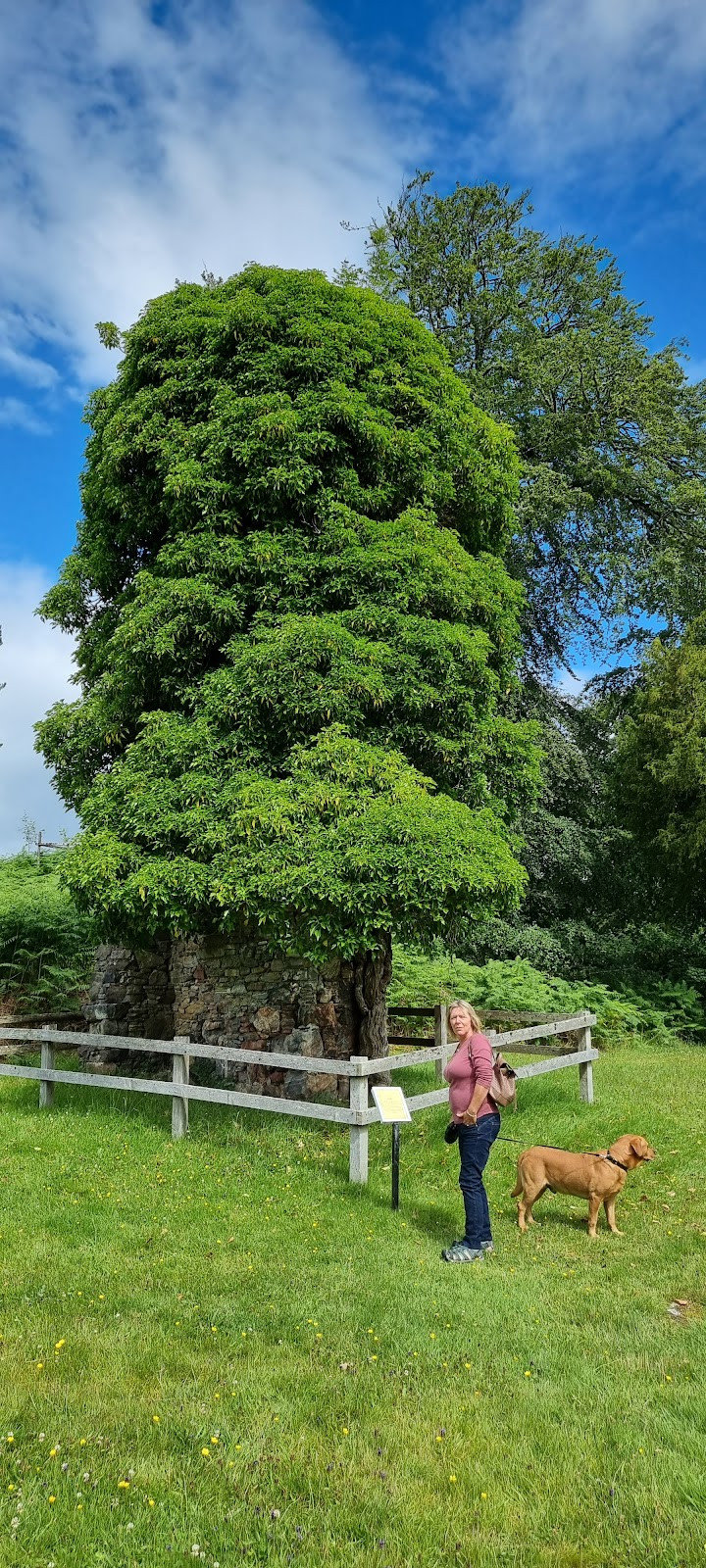 Clan Cameron Museum