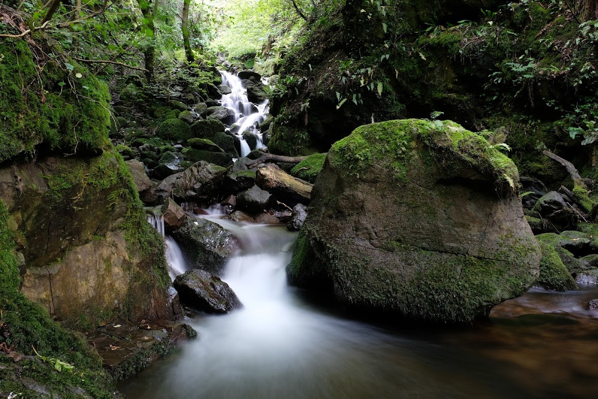 Hike Through Dollar Glen