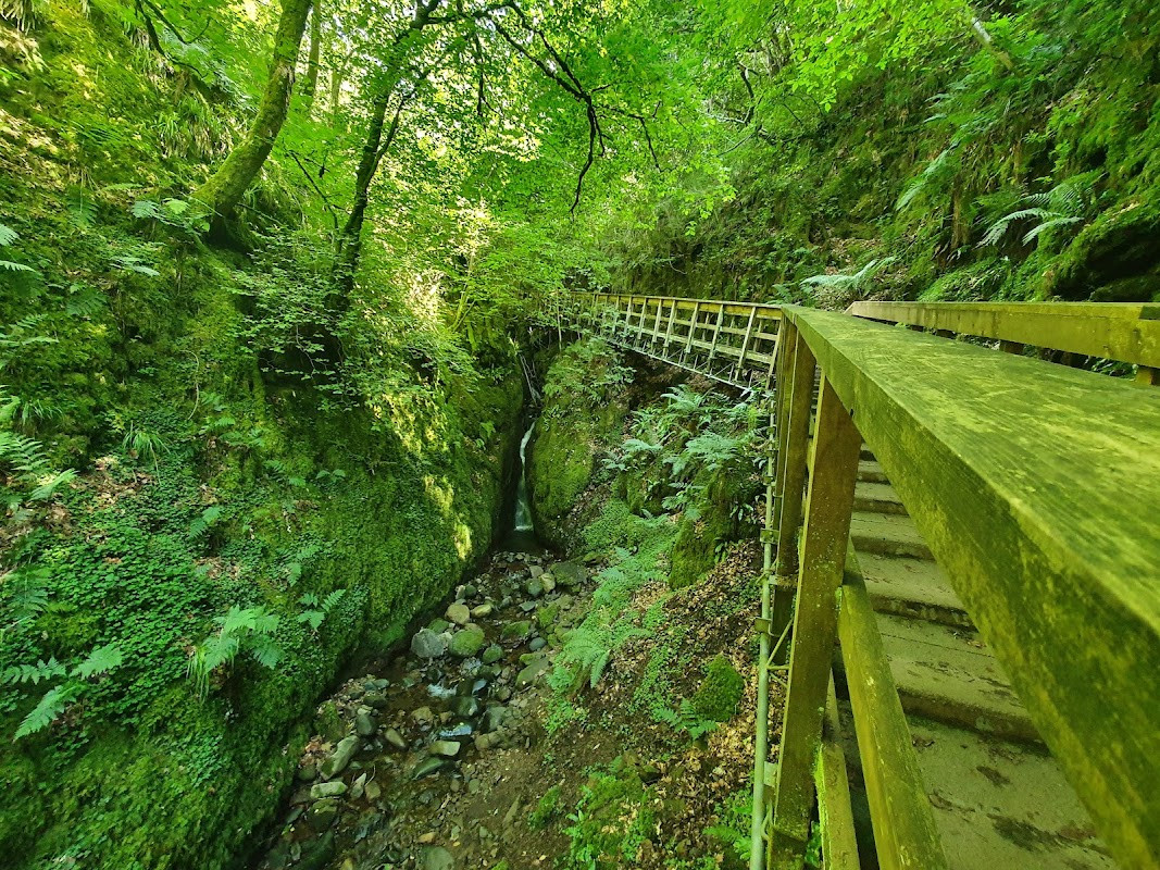 Hike Through Dollar Glen