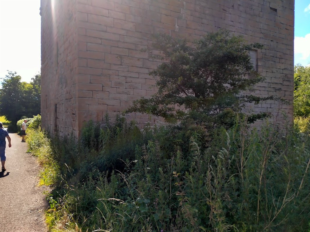 Sauchie Tower