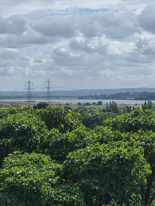 Alloa Tower