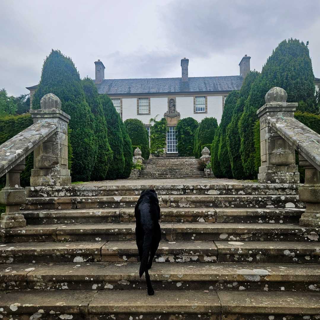 A Month Close to Home: Cupar Histories and a Roxburgh Ruin