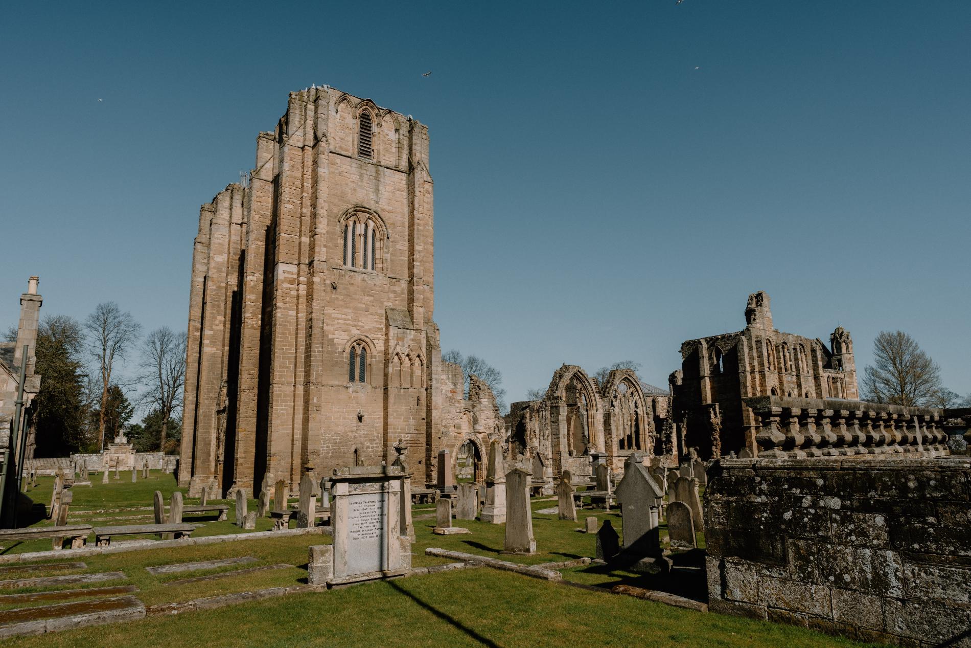 A Day in Moray Full Of Surprises