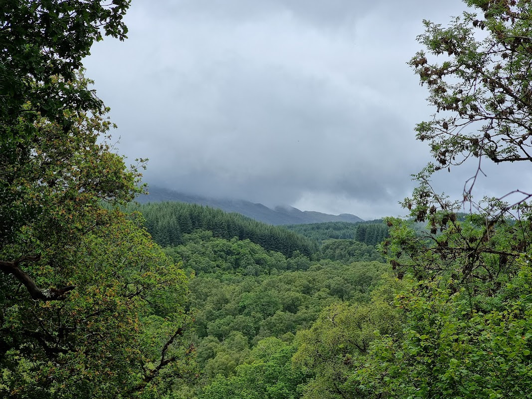 Glen Nant National Forest