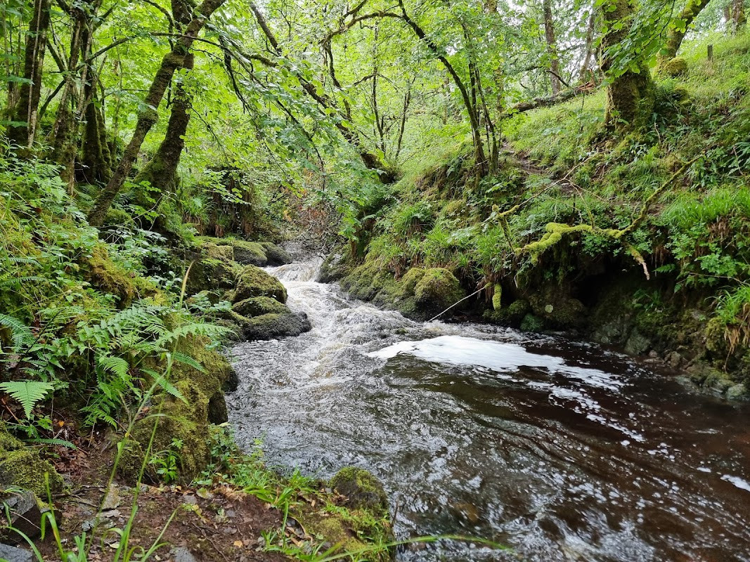 Glen Nant National Forest