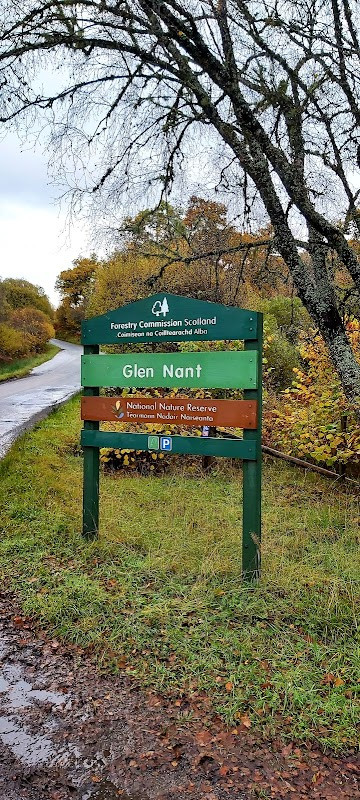 Glen Nant National Forest