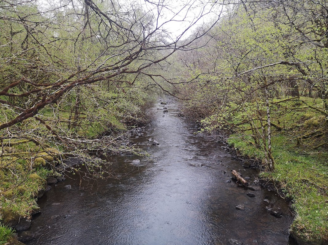 Glen Nant National Forest