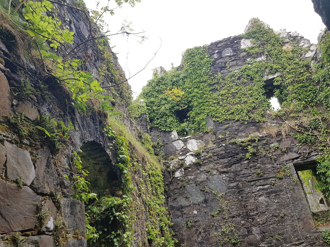 Innis Chonnell
