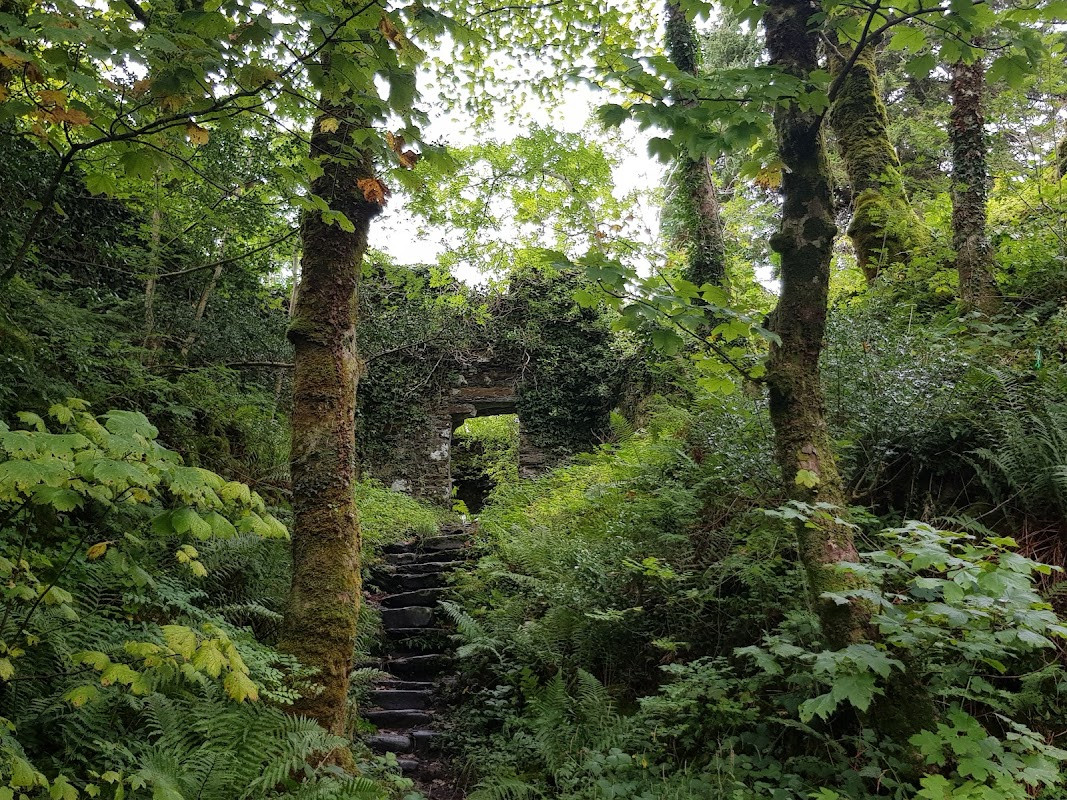 Innis Chonnell