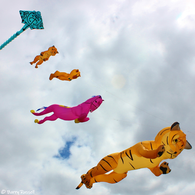 Kirkcudbright Kite Festival, Dumfries and Galloway