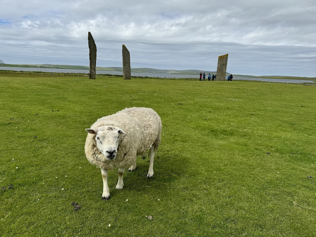 Standing Stones of Stenness