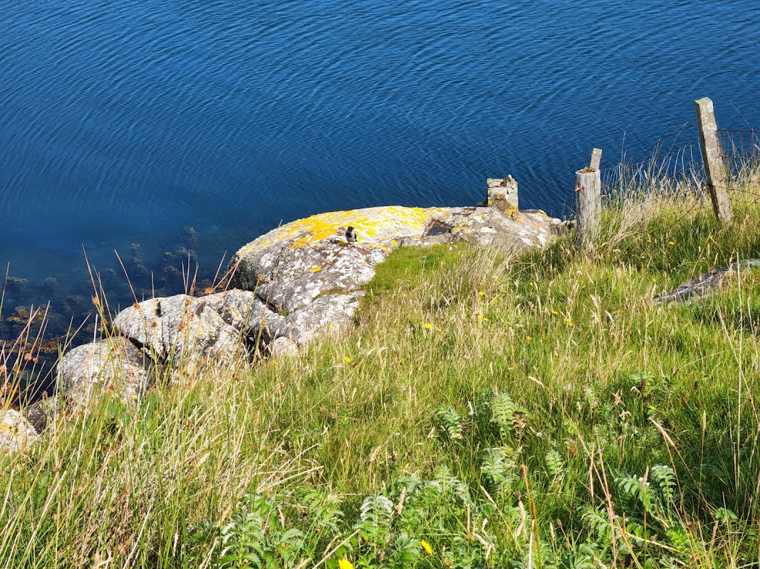 Begin in Tarbert