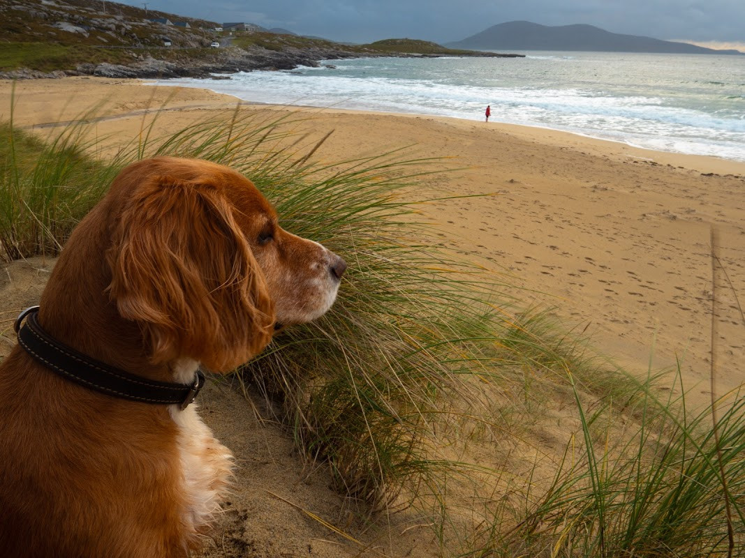 Nisabost Beach & MacLeod’s Stone