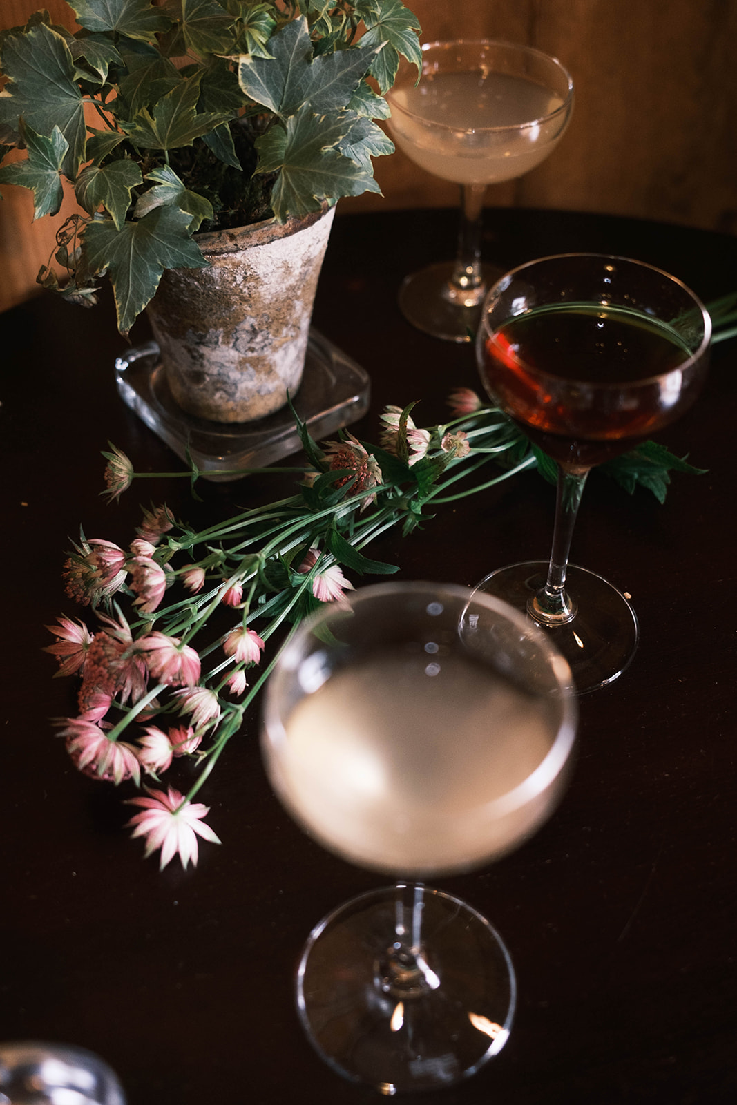 Fine Dining Footsteps from the Field: Farm to Fork Dining Experiences