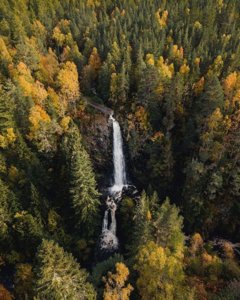 Plodda Falls