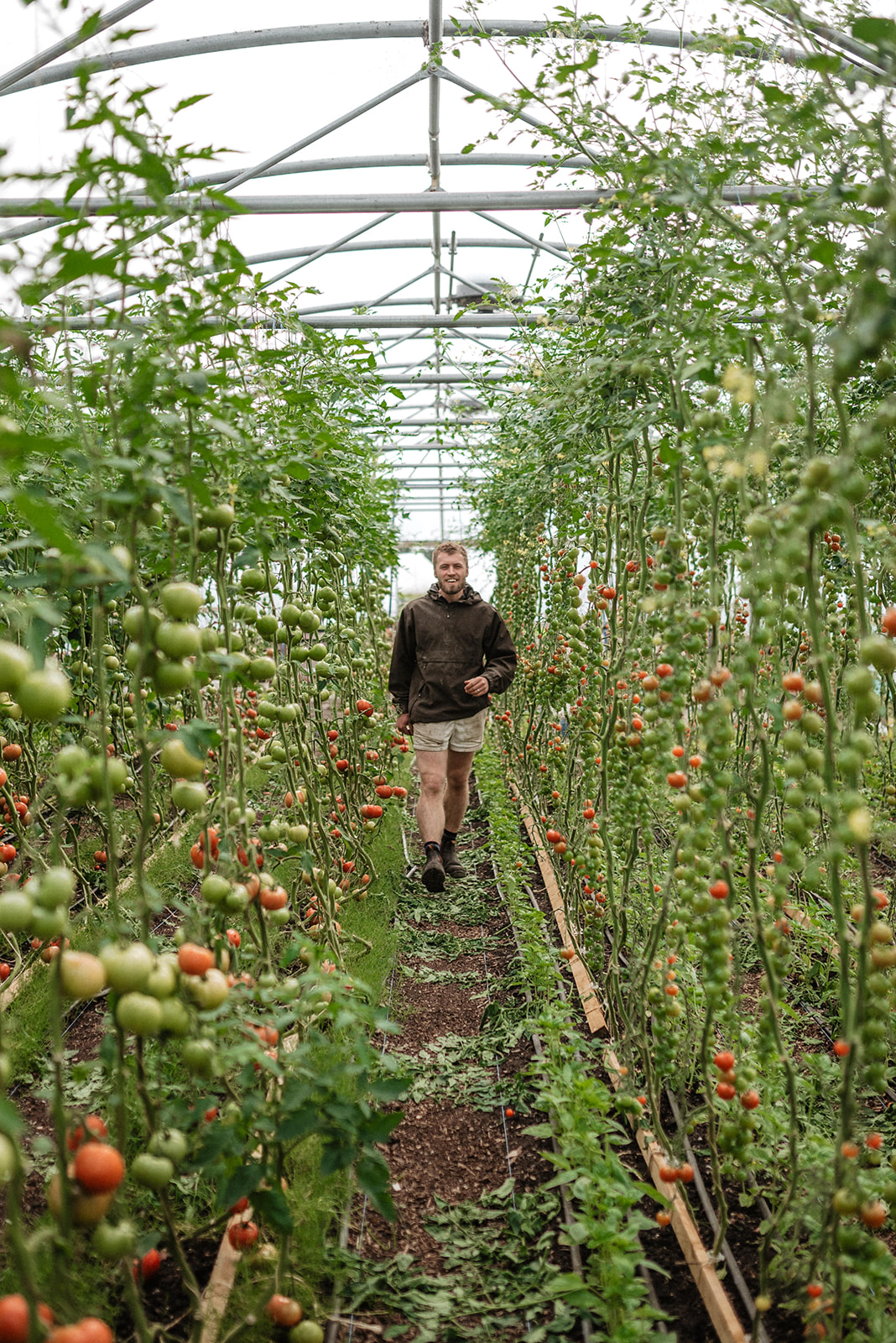 Fine Dining Footsteps from the Field: Farm to Fork Dining Experiences