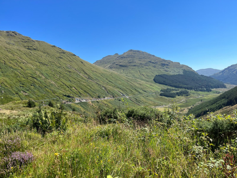 Tree-Planting Project Begins to Stabilise Hillside at Rest and Be Thankful