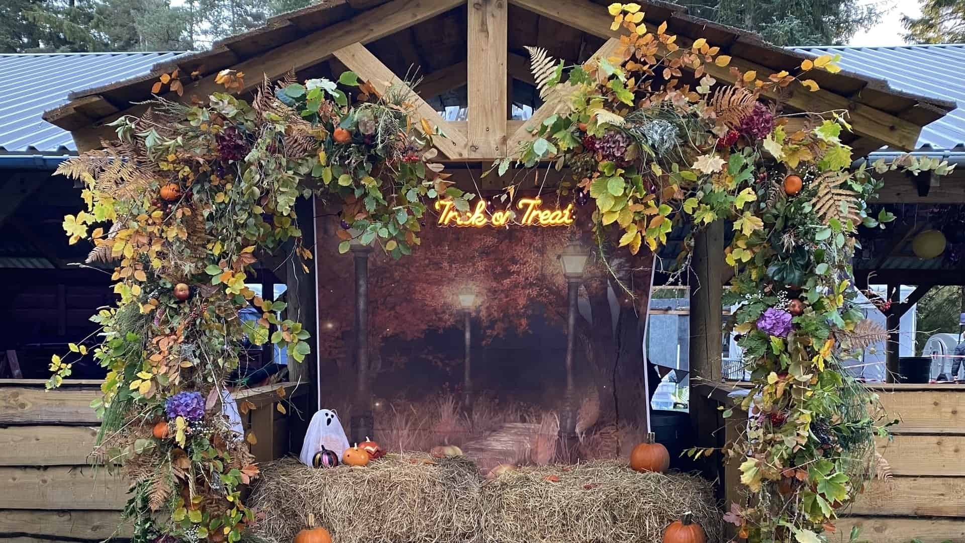 Autumn Festival At Wildwoodz, Inverness