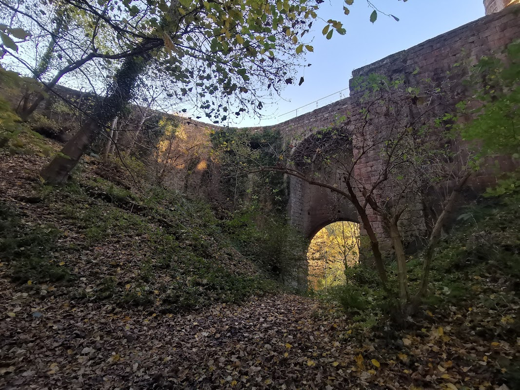 Roslin Castle & Glen