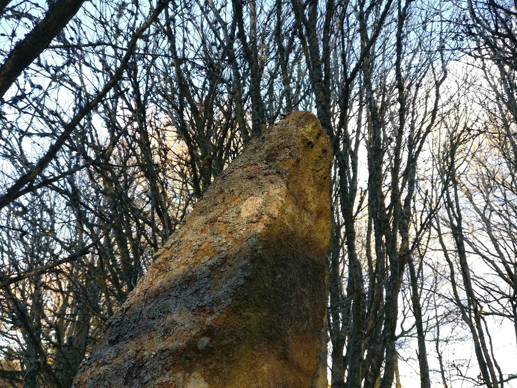 Midmar Stone Circle