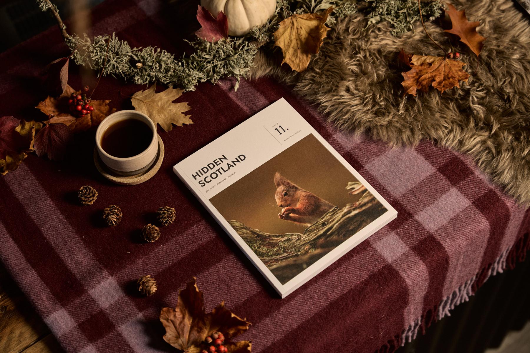 Welcome to issue 11