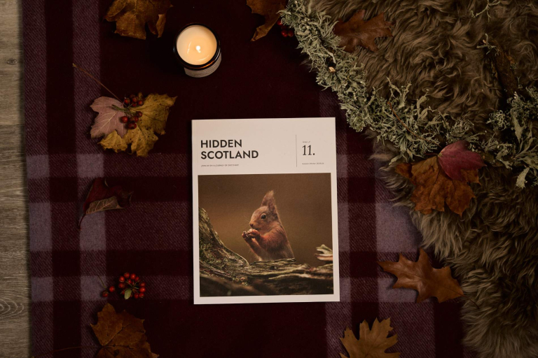 Welcome to issue 11