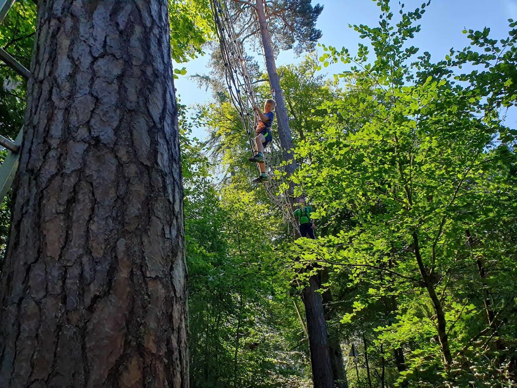 TreeZone Aerial Adventure