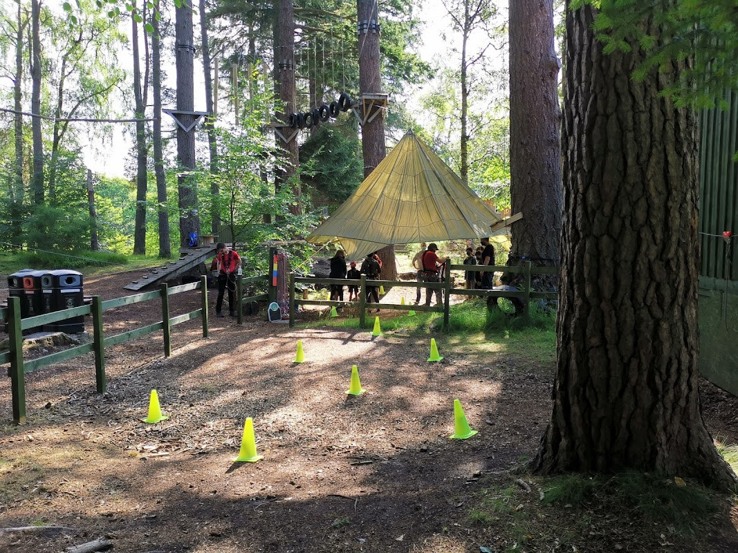 TreeZone Aerial Adventure