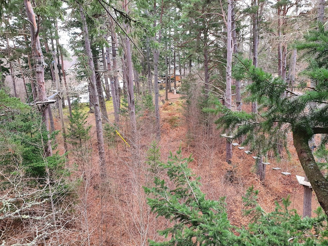 TreeZone Aerial Adventure