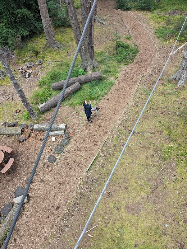 TreeZone Aerial Adventure